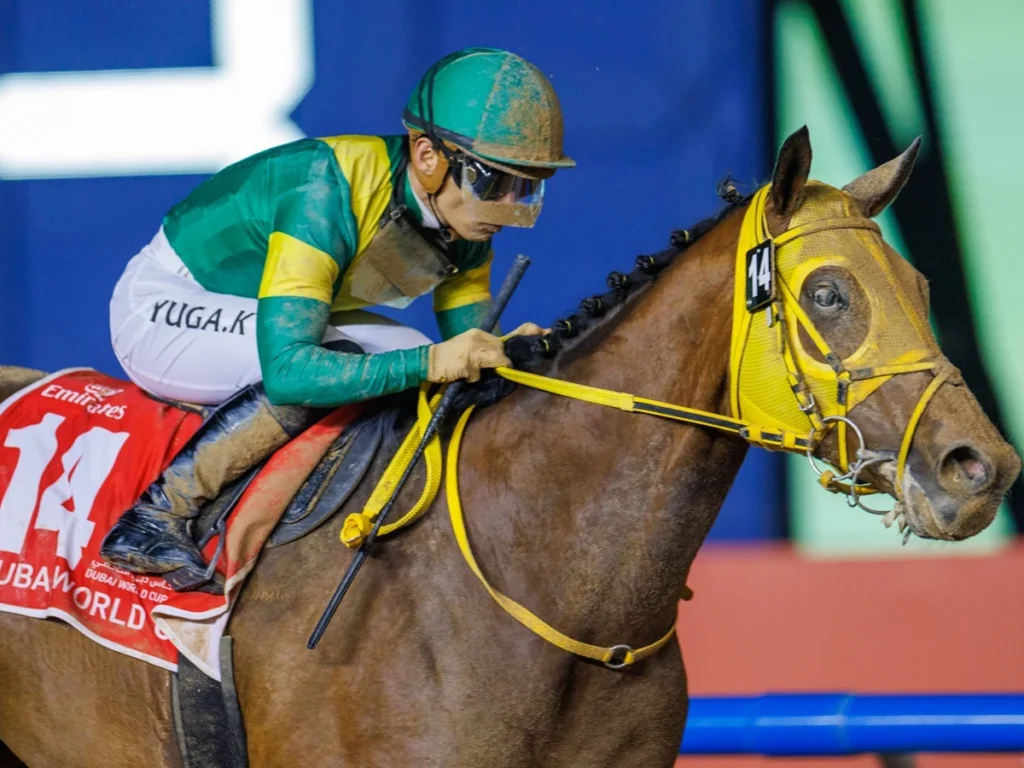 Dubai World Cup 2025 horse racing event Meydan Racecourse Dubai racing tickets Dubai sports event luxury hospitality Dubai horse racing Style Stakes competition Sheikh Mohammed Bin Rashid Al Maktoum Dubai racing festival Dubai social event Meydan entertainment Dubai racing history Nad Al Sheba Racecourse elite jockeys and trainers international horse racing event Dubai lifestyle event racing prizes Dubai grandstand seating Sky Bubble Brunch Dubai World Cup tickets Meydan VIP packages horse racing hospitality racecourse dining luxury Dubai experiences horse racing competition Dubai exclusive event UAE sporting event Dubai World Cup schedule Dubai entertainment tickets Dubai racing tradition