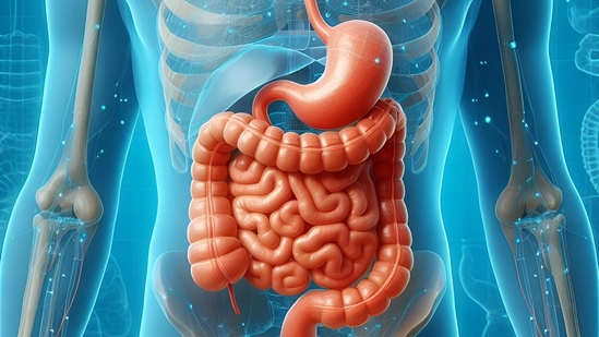 summer digestion tips summer stomach problems summer digestive issues summer gut health bloating in summer diarrhoea in summer acidity in summer food poisoning summer food safety summer hydration tips how to keep stomach cool in summer best summer fruits digestion tips Indian summer health tips hydration in summer Indian summer diet plan what to eat in summer for digestion home remedies for bloating