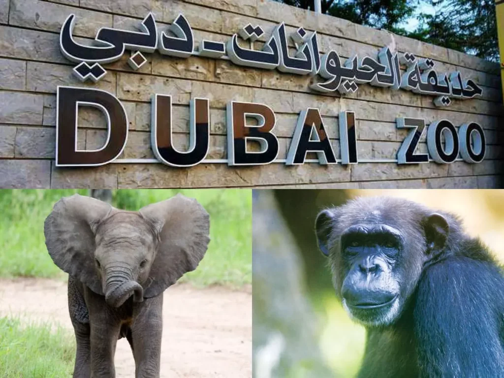 Dubai Zoo redevelopment Dubai Zoo transformation Urban Oasis Dubai Shamal residential project eco friendly living Dubai Jumeirah housing project sustainable architecture Dubai green living Dubai legacy landmarks UAE historic sites redevelopment Dubai Safari Park relocation Dubai Zoo closure modern residential communities in Dubai DXB Lab architecture Dubai organic design Dubai walkable neighborhoods