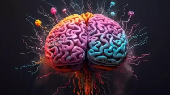 brain eating amoeba Naegleria fowleri brain infection Primary Amebic Meningoencephalitis PAM amoeba symptoms meningitis prevention nasal irrigation safety tips avoid warm freshwater swimming deadly amoeba warning Dr Betsy Grunch neurosurgeon health advice brain parasite warm lakes rivers hot springs nasal rinse neti pot contaminated tap water health awareness