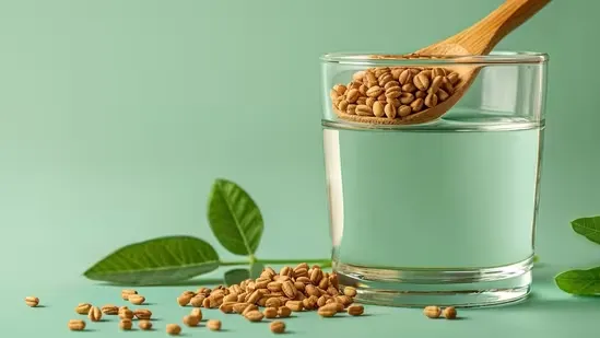 fenugreek seed water for diabetes fenugreek seed water benefits methi water for diabetes fenugreek seeds for blood sugar control fenugreek for type 2 diabetes fenugreek for type 1 diabetes methi water blood sugar regulation fenugreek insulin sensitivity fenugreek slows digestion fenugreek glucose absorption fenugreek soluble fibre fenugreek diabetes home remedy fenugreek seeds empty stomach fenugreek soaked water fenugreek health benefits fenugreek seeds daily use fenugreek lowers HbA1c fenugreek reduces fasting
