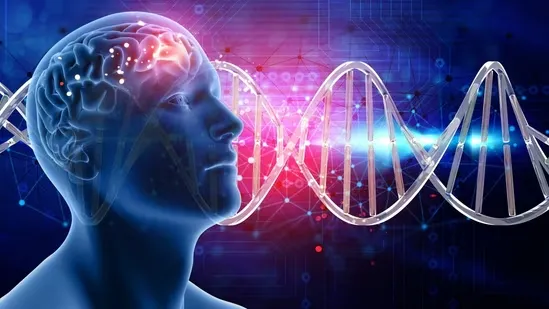 brain health cognitive function memory focus emotions decision making Dr Richard Veyna neurosurgeon brain damage prevention poor sleep effects lack of exercise brain inflammation high stress brain aging processed food impact on brain cognitive longevity healthy lifestyle tips mental clarity brain protection diet for brain health natural brain boosters meditation mindfulness stress management sleep hygiene exercise for memory brain nutrition healthy eating for brain sugar impact on brain cognitive wellness neuro health mental sharpness brain repair toxin removal brain friendly foods brain care daily habits brain longevity lifestyle tips for brain brain function improvement mental fitness nutrition for memory neuro protection tips for healthy brain everyday brain habits