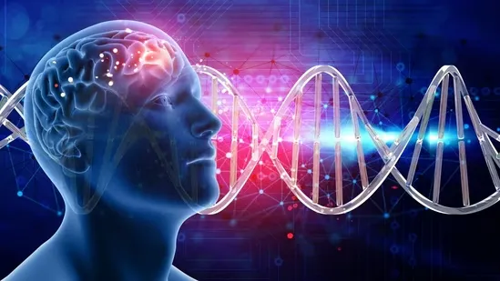 heart health brain health cardiologist neurologist heart and brain connection Takotsubo cardiomyopathy Broken Heart Syndrome stress and heart anxiety and heart depression and heart cortisol adrenaline blood pressure heart rate autonomic nervous system prefrontal cortex hypothalamus neurodegenerative disorders inflammation arterial damage cardiovascular disease mental health heart failure stress cardiopathy emotional health brain function heart function lifestyle and heart health brain disorders chronic stress heart injury brain injury neurological health heart wellness brain wellness heart brain relationship Takotsubo stress cardiomyopathy mental wellbeing vascular tone heart disease risk cognitive health heart care brain care