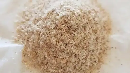 Florida gastroenterologist psyllium husk remedy natural treatment for constipation natural treatment for diarrhoea IBS relief natural gut health Florida doctor digestion tips fibre for gut health psyllium fibre digestion support constipation home remedy diarrhoea home remedy IBS constipation diarrhoea relief Dr Joseph Salhab gut stabiliser digestive health tips Florida gut doctor IBS bloating relief stool regularity natural laxative alternative gut balance remedy psyllium powder benefits psyllium capsule benefits digestive wellness Florida gastro advice hydration and digestion how to use psyllium husk fibre supplement IBS natural cure fibre for bowel movement digestion health care Florida nutrition expert gut health improvement healthy digestion routine plant based fibre IBS management psyllium for bloating relieve constipation naturally diarrhoea natural fix digestive system balance healthy bowel movement gut friendly foods psyllium hydration tips