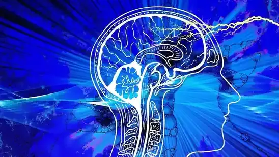 stroke symptoms stroke awareness stroke treatment stroke prevention AIIMS neurologist Dr Rahul Chawla slurred speech sudden weakness facial droop sudden vision loss imbalance golden window tPA clot-busting injection stroke recovery stroke risk factors high blood pressure diabetes high cholesterol stop smoking exercise daily reduce salt brain health brain cell loss stroke in elderly stroke in adults early stroke signs mini stroke celebrity stroke cases Hailey Bieber stroke Justin Bieber stroke brain clot stroke emergency