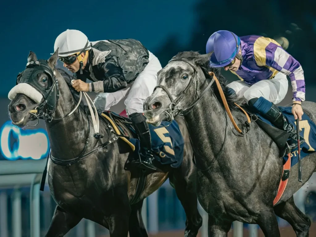 UAE President Cup Arabian Purebred Horses Abu Dhabi Turf Club 33rd President Cup Arabian horse racing UAE horse racing Abu Dhabi family activities Emirati culture Emirati heritage Emirati National Dress Competition UAE horse racing events Abu Dhabi December events UAE equestrian festival Abu Dhabi horse races group 1 race prize fund Dhs10.8 million HH The President Cup Thoroughbred Yass Sprint Abu Dhabi Derby UAE Breeders Cup Emirates Palace Strawfire restaurant Emirati craft workshops Sheikh Zayed Grand