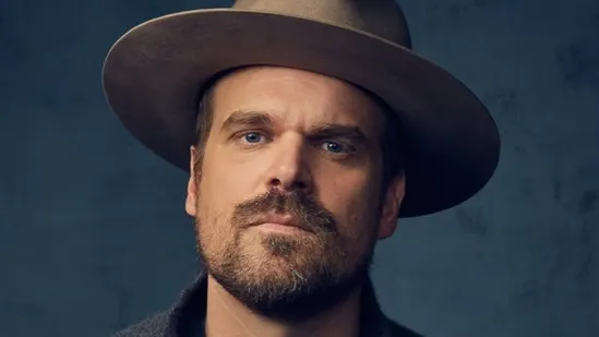David Harbour controversy Stranger Things Season 5 allegations Millie Bobby Brown claims Lily Allen divorce rumors David Harbour news Netflix series updates Jim Hopper actor controversy Hollywood news entertainment reports celebrity allegations media reports internal investigation reported harassment claims Stranger Things cast disputes Netflix upcoming release television drama controversies actor personal life