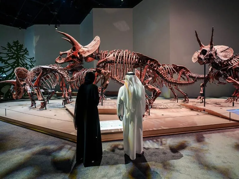Natural History Museum Abu Dhabi T.rex skeleton Abu Dhabi blue whale exhibit Murchison Meteorite UAE fossils Stegotetrabelodon emiratus Saadiyat Cultural District museum opening Abu Dhabi family activities Abu Dhabi weekend events Natural History Museum exhibits interactive galleries PalaeoLab Life Sciences Lab Arabia Climate exhibition temporary exhibits March of the Triceratops Wildlife Photographer of the Year dinosaur display Abu Dhabi science museum educational activities museum tickets UAE attractions Middle East museums Abu Dhabi culture museum experience holiday activities Abu Dhabi tourist spots natural history education kids activities free museum entry discounted tickets museum guide Abu Dhabi science history museum