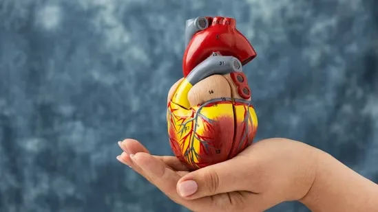 healthy arteries tips artery health advice heart wellness lifestyle changes cardiovascular health habits reduce plaque naturally vitamin K2 benefits artery blockage prevention heart attack risk reduction refined carbs dangers daily exercise for heart health vascular specialist advice arterial flexibility support blood circulation improvement heart health routine