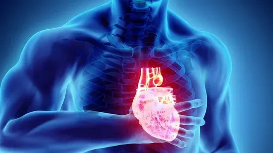 BRASH syndrome heart medication warning cardiologist advice beta blockers calcium channel blockers drug interaction heart rate risk kidney failure elderly heart patients medical warning cardiac drugs health safety slow heart rate hyperkalemia renal failure AV node blockade shock symptoms heart health awareness cardiology news Mount Sinai cardiologist medication side effects patient safety heart disease management blood pressure drugs dehydration risk senior health medical caution drug combination risks heart care tips emergency symptoms cardiac safety healthcare guidance medication awareness heart rhythm disorders kidney health heart drug risks medical education