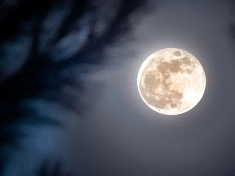 Dubai Cold Moon Dubai Supermoon Dubai full moon Dubai moon viewing Dubai astronomy Dubai stargazing Dubai night sky Meydan Racecourse Supermoon event Dubai full moon yoga Platinum Heritage desert yoga Dubai desert stargazing Al Barsha Pond Park moon viewing Al Qudra Lakes stargazing Hatta full moon camping Jebel Ali Beach moon picnic Kite Beach night walk Dubai Creek The Viewing Point Burj Khalifa