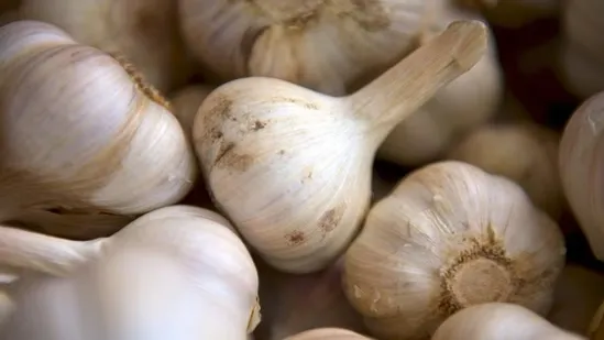 raw garlic empty stomach benefits garlic for cholesterol garlic for heart health ayurvedic garlic benefits eating garlic daily cholesterol control naturally heart healthy foods garlic antioxidants garlic anti inflammatory properties garlic allicin benefits garlic for LDL cholesterol garlic for HDL cholesterol natural cholesterol remedies ayurveda heart care morning garlic benefits garlic water morning routine garlic lemon