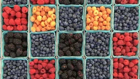 brain health after 30 memory boosting foods focus improvement diet brain superfoods cognitive health aging brain nutrition mental clarity omega 3 rich foods berries for brain health fish for memory eggs for brain function nuts and seeds benefits dark chocolate brain turmeric benefits whole grains brain energy Mediterranean diet brain MIND diet cognitive support foods to prevent memory loss healthy aging brain nutrition improve concentration naturally brain boosting