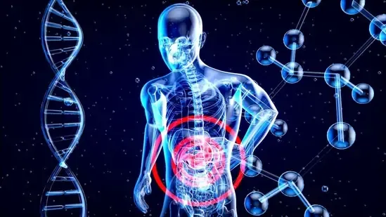 gut health gut microbiome gut organ axis digestive health brain gut connection skin gut health immunity gut microbiome metabolic health gut brain link gut skin connection gut immunity health gut metabolism control Dr Karan Rajan gut health benefits gut inflammation gut lining health neurotransmitters gut mood