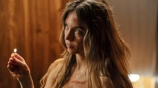 Sydney Sweeney The Housemaid sequel The Housemaid Secret Millie Calloway Paul Feig psychological thriller movie R rated thriller box office success Freida McFadden novel adaptation Lionsgate film sequel Sydney Sweeney new movie Michele Morrone Enzo character The Housemaid cast Amanda Seyfried sequel