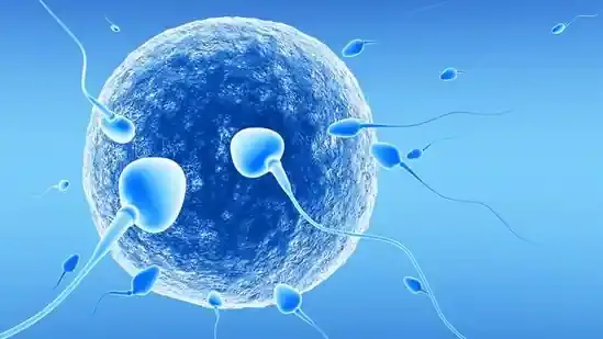 air pollution male fertility smog and sperm health pollution and sperm quality sperm DNA damage air pollution effects male reproductive health environmental toxins fertility oxidative stress sperm air quality and fertility PM25 fertility impact urban pollution fertility male infertility causes pollution sperm count decline