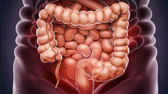 colon cancer symptoms early signs of colon cancer warning signs of colon cancer colon cancer awareness digestive health symptoms bowel habit changes rectal bleeding causes abdominal pain colon cancer unexplained weight loss cancer fatigue symptoms polyps in colon colon cancer screening young adults colon