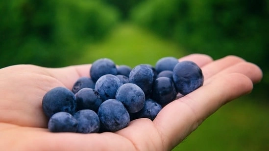 fatty liver diet fatty liver foods liver health nutrition fatty liver India metabolic fatty liver MASLD liver inflammation foods black coffee liver benefits blueberries for liver amla for fatty liver avocado liver health turmeric black pepper liver curcumin benefits antioxidant