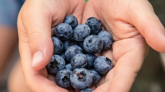 foods to reduce cholesterol cholesterol lowering diet LDL cholesterol reduction heart healthy foods berries for cholesterol green tea cholesterol benefits olive oil heart health nuts and cholesterol legumes for heart