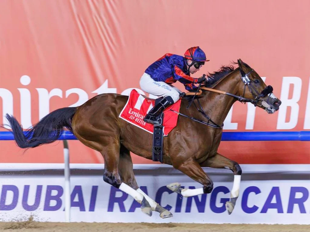 Emirates Super Saturday Dubai Meydan Racecourse events Dubai World Cup trials UAE horse racing Dubai Golden Shaheen trial Burj Nahaar race Godolphin Mile prep race Nad Al Sheba Turf Sprint Al Quoz Sprint trial Jumeirah 1000 Guineas Jumeirah 2000 Guineas