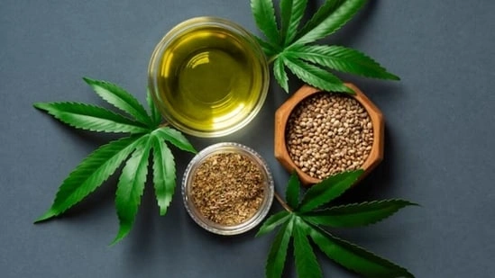 hemp seeds protein source hemp seeds benefits for vegetarians complete protein plant based hemp seeds nutrition hemp seeds health benefits vegetarian protein foods plant based protein sources hemp seeds daily