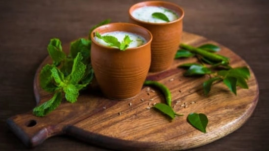 summer probiotic drinks homemade probiotic drinks gut health drinks summer healthy drinks digestion drinks probiotic beverages homemade summer drinks healthy gut recipes probiotic drink recipes natural