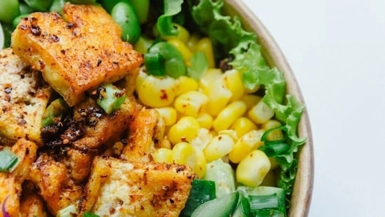 vegetarian protein sources high protein vegetarian foods paneer alternatives vegetarian diet protein tofu benefits tempeh nutrition edamame protein quinoa protein benefits