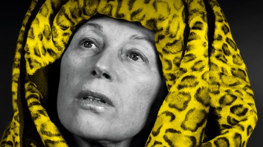 Cindy Sherman Locarno Film Festival 2026 Locarno poster 2026 Cindy Sherman art Locarno Film Festival