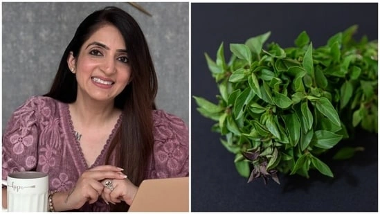curry leaves benefits kadi patta health myths curry leaves hair loss truth curry leaves for grey hair curry leaves for skin glow curry leaves weight loss facts kadi patta nutrition benefits curry leaves expert advice curry