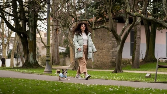 brain health walking benefits hippocampus growth walking brain boost adult brain growth natural brain health tips walking for mental health reduce cortisol naturally midlife health