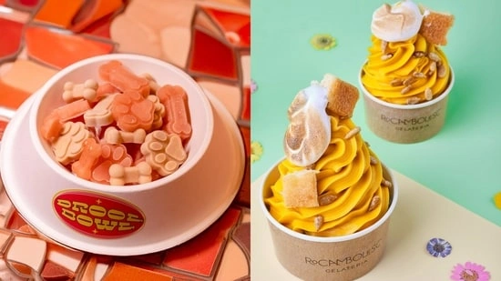 artisanal ice cream India gourmet ice cream trends 2026 luxury ice cream brands India innovative ice cream flavours premium dessert trends India ice cream innovation global ice cream trends modern dessert ideas