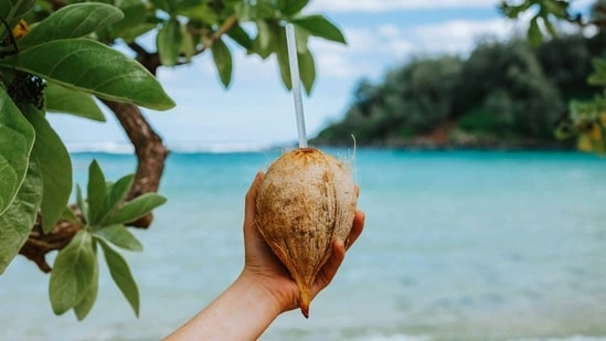 Indian summer foods hydration tips gut health summer diet hydrating foods India coconut water benefits